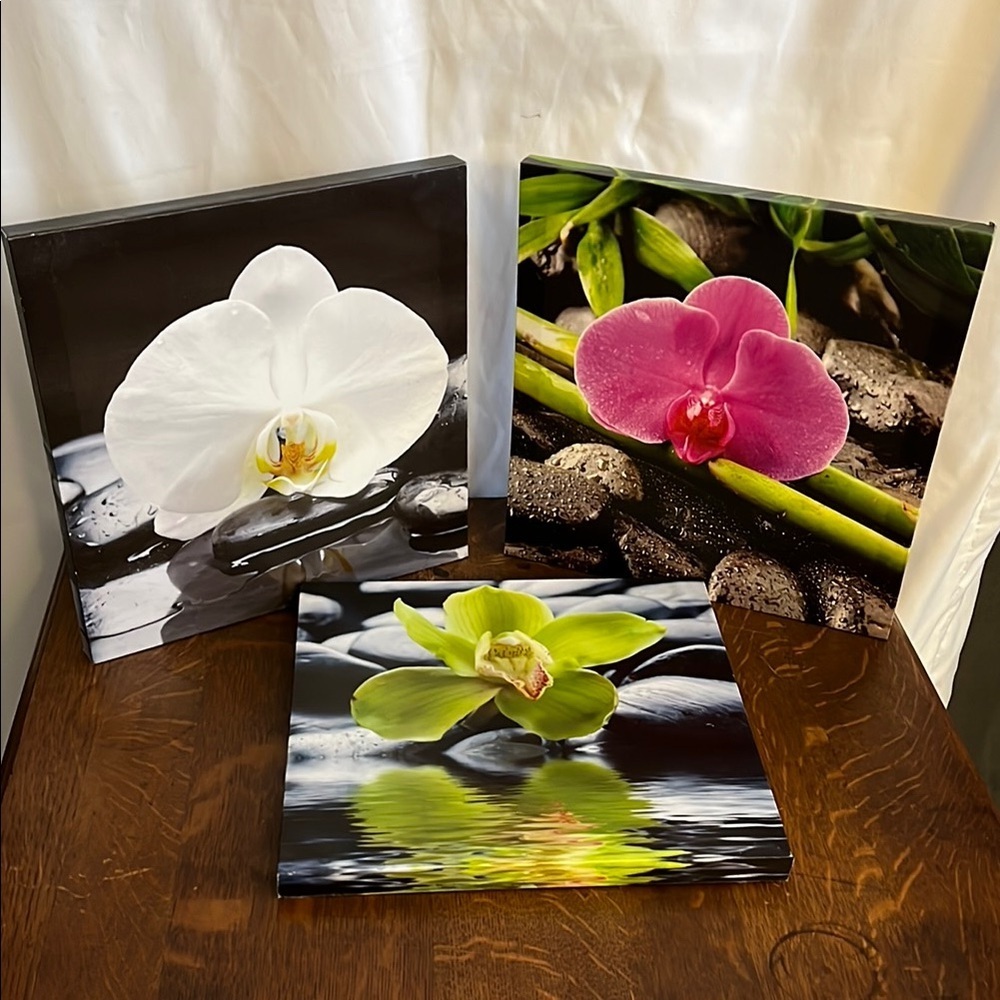 Floral Canvas Art Set - White, Pink, Green Orchids
